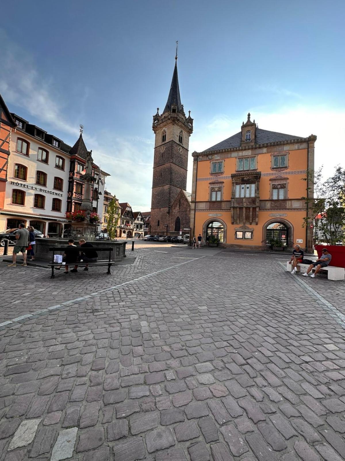 Le Nid Cosy D'Obernai /2Min Centre Ville/Parking Extérieur photo
