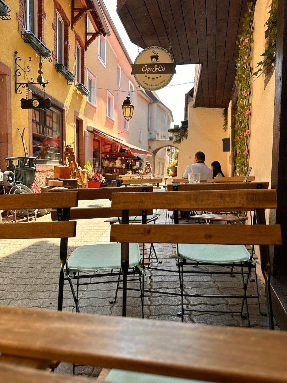 Le Nid Cosy D'Obernai /2Min Centre Ville/Parking Extérieur photo